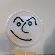 IMG_20221129_113932 en de jampot deksel