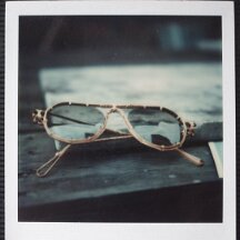 bambou polaroid