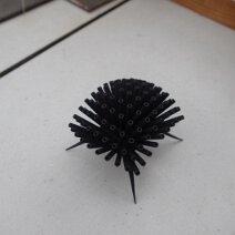 IMGP0009