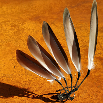 16 (2)