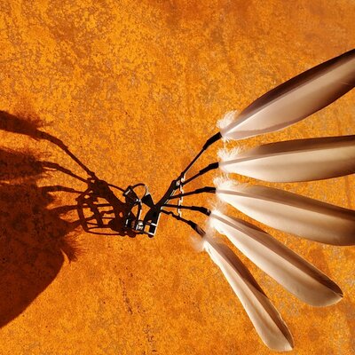 Feathering