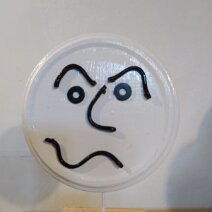 IMG_20221129_113854