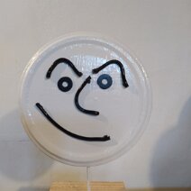 IMG_20221129_113932