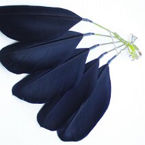 waaiering zilver 18 open